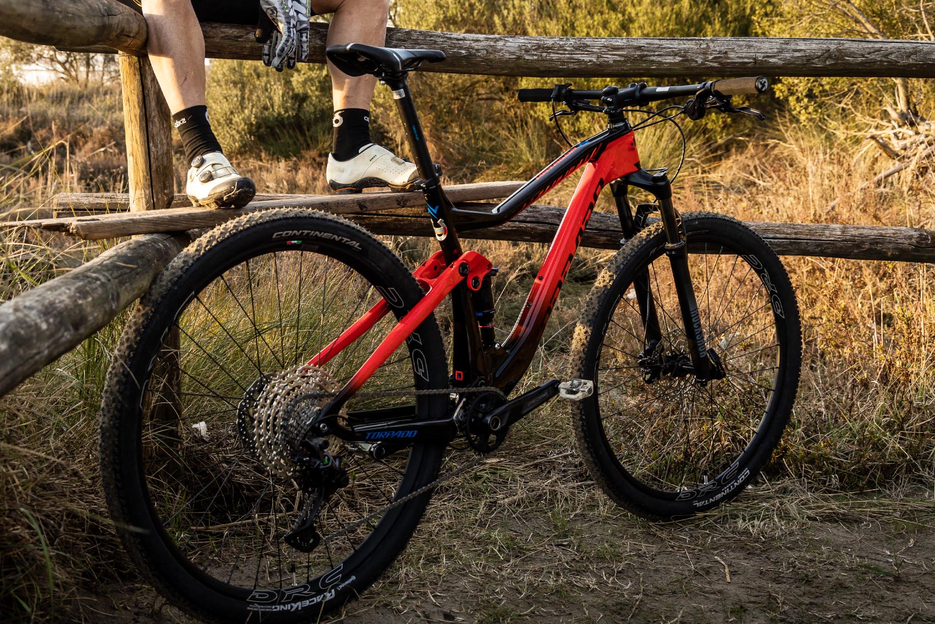 Produzione MTB e Biciclette Torpado You and the Italian Legend