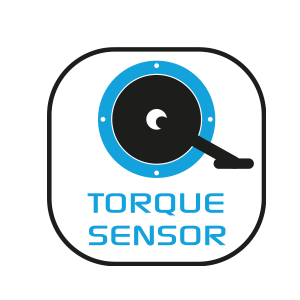 TORQUE SENSOR