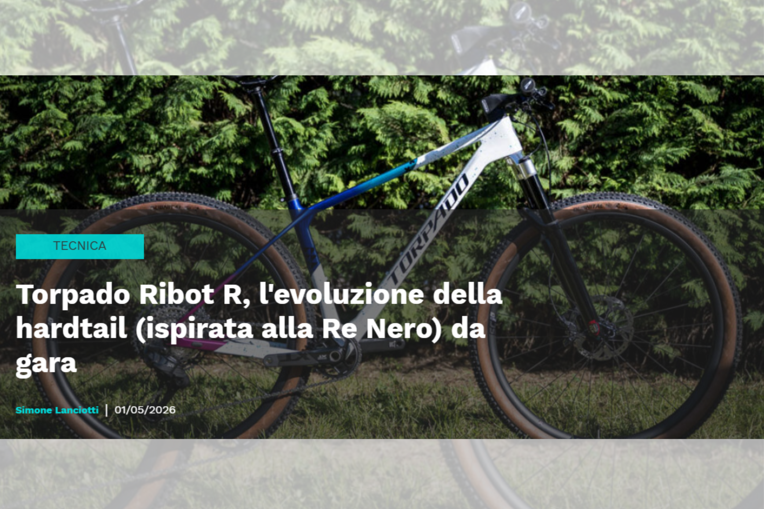 Ribot R