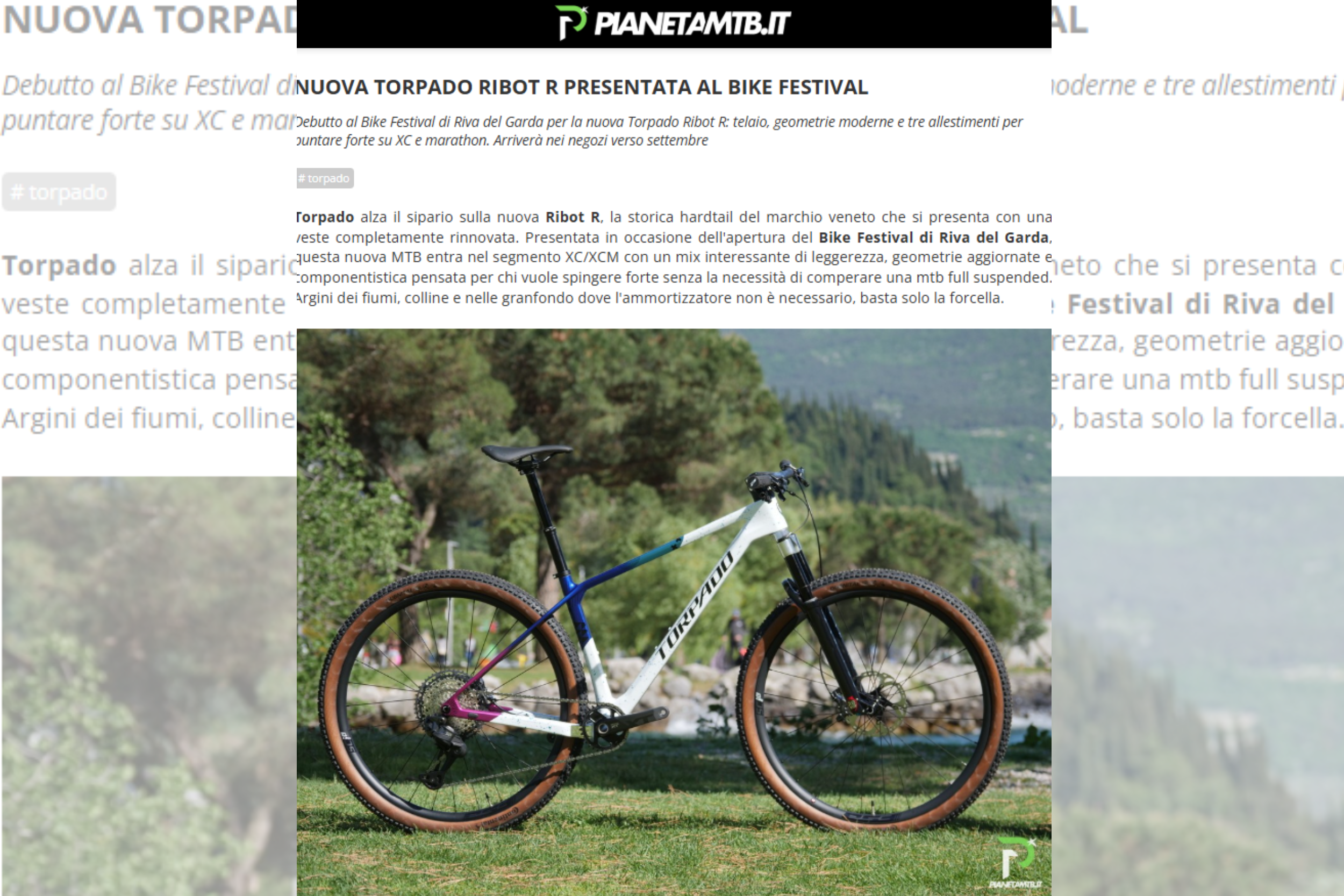 Ribot R