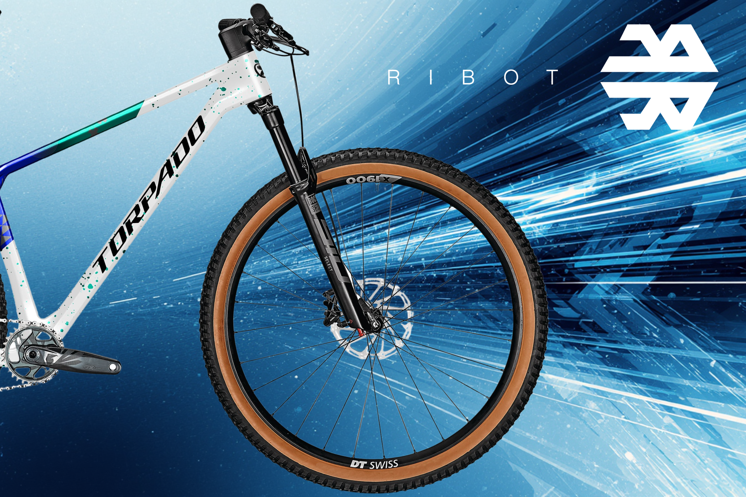 Ribot R